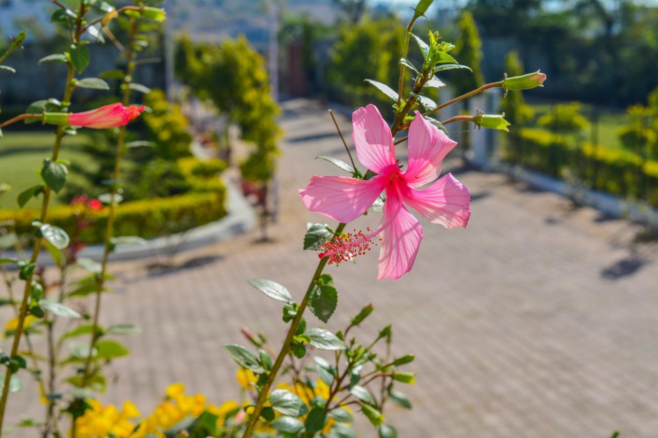 אודייפור Tiger Hill Homestay מראה חיצוני תמונה
